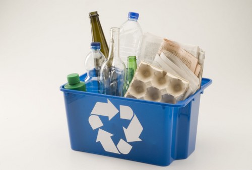 Team of rubbish removal professionals